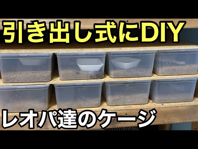 レオパのメンテがしやすいようにDIY【爬虫類】引き出し式にしました