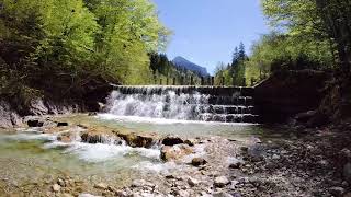 Peaceful Alpine Waterfall Near Neuschwanstein Castle | Nature Relaxation#bavaria #nature #peace