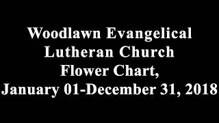 Woodlawn Evangelical Lutheran Church Flower Chart, January 01-December 31, 2018