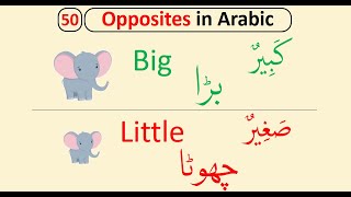 50 Opposite Words in Arabic English and Urdu | الاضداد | Arabic for Kids