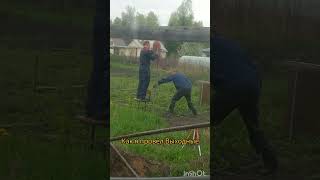 #теплица #теплицасвоимируками #теплицаизполикарбоната #очумелыеручки #жизньвдеревне #дача2025 #дом