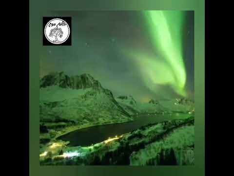 دکتر هلاکویی خودت بودن جرات ميخواد