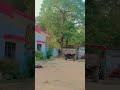 #shortvideo #village #farming #shorts