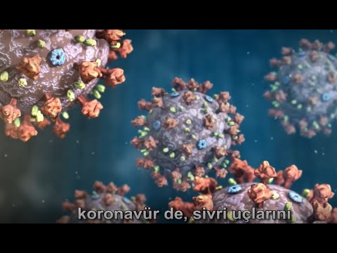 Video: Coronavirus (COVID-19): Yaşlı Vatandaşların Bakımı