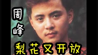 梨花又开放 周峰 80年代潮流行