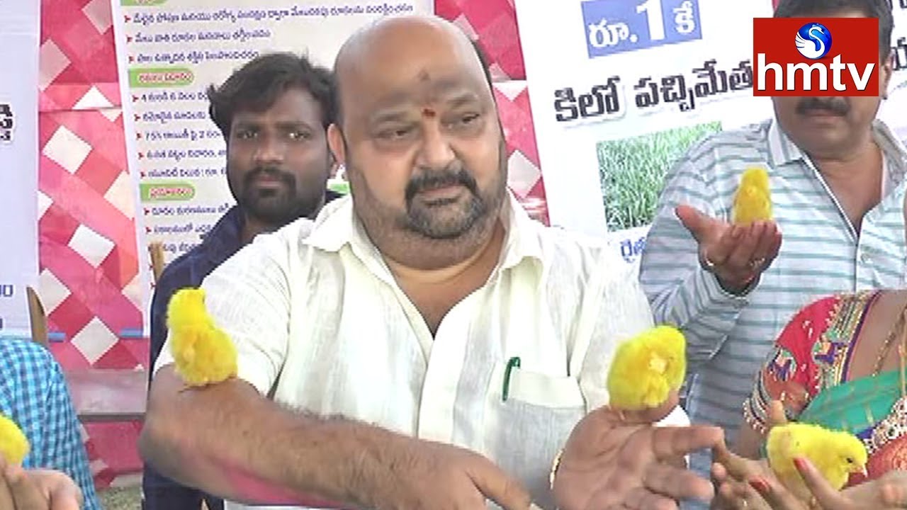 Maganti Babu Sankranti Celebrations in Eluru | hmtv