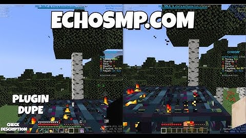 Spawner Item Dupe (working)