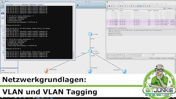 Netzwerkgrundlagen: VLAN und VLAN Tagging
