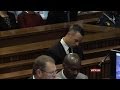 Pistorius Trial: Oscar's neighbour re-enacts
