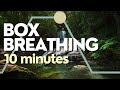 Box Breathing Exercise 5-5-5-5 | 10 Minute