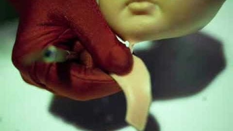 INFANTICIDESS: teaser