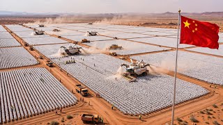 China Is Harvesting Cotton in the Desert — Where Nothing Should Grow