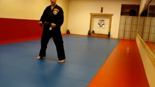Goshin Jutsu Karate Kata - Chigokyu screenshot 4