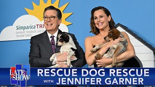 Rescue Dog Rescue with Jennifer Garner