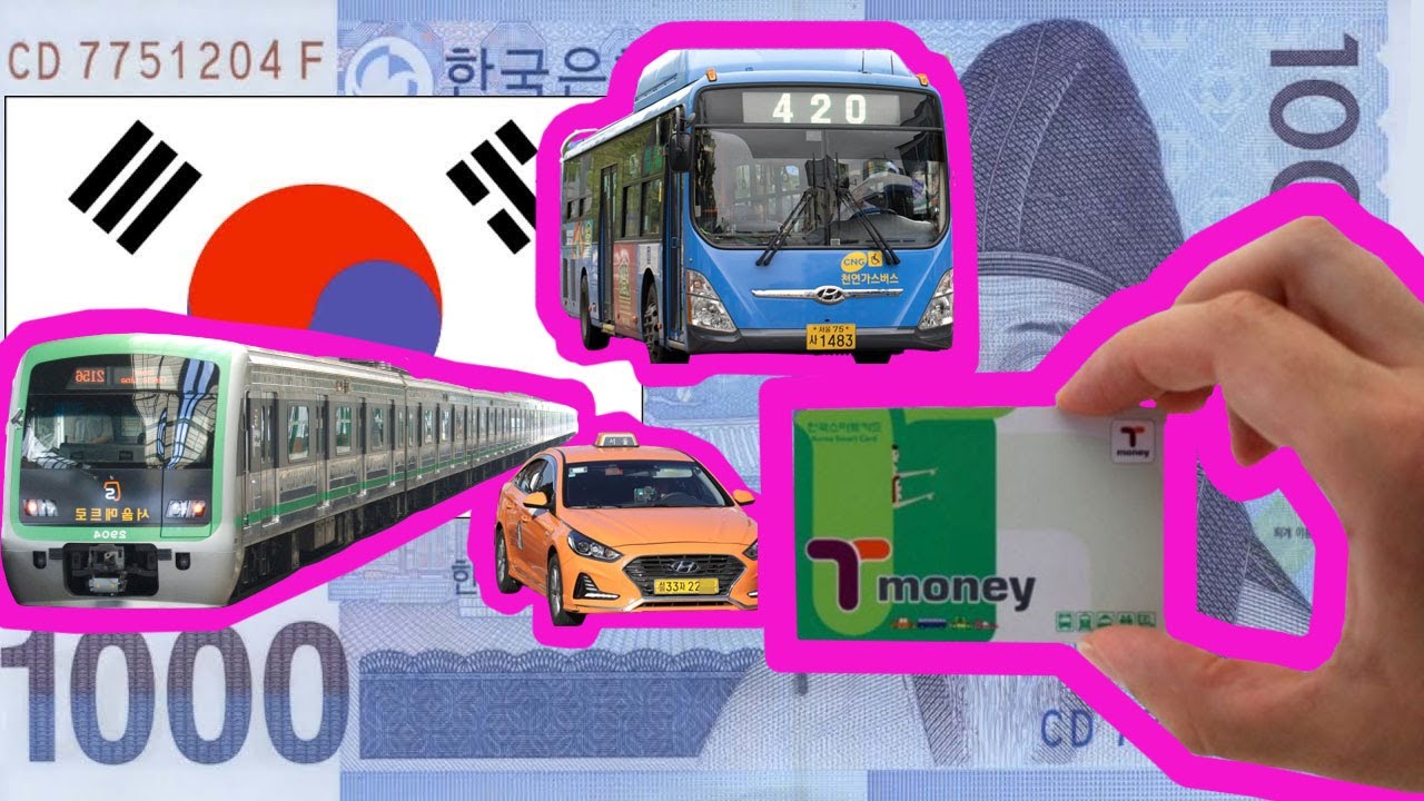 korea tourist t money