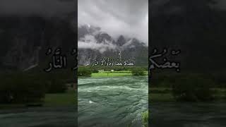 واتس اب قران كريم القارئ ياسر دوسري (سوره العنكبوت)