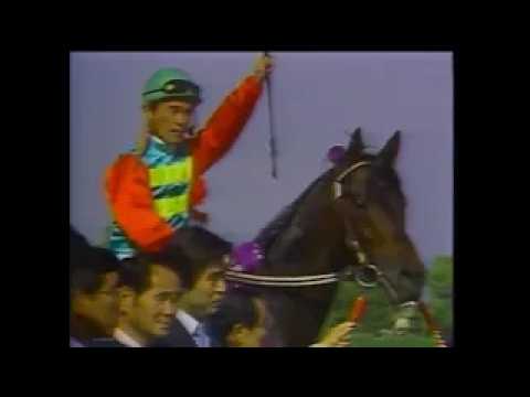 ナリタブライアン【有馬記念1994】 - YouTube
