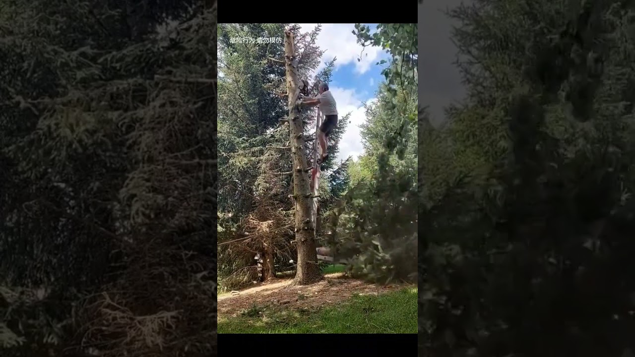 Hot Sale Discount POS ATM ECG BOND Paper Roll Thermal Jumbo Roll Slitting Rewinder Paper Slitter