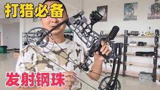 你的梦想情弓来了，打猎、生存狂必备便携式两用复合弓