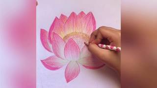 How to draw Lotus | Lotus Pencil Color Drawing | A Drawing by My Sister|