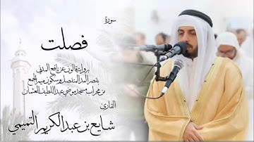 41 - سورة فصلت ( برواية قالون ) - شايع التميمي || Fussilat ( Qaloun ) - Shaya Altamimi
