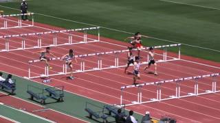 20160429群馬高校総体中北毛陸上男子110ｍハードル