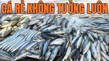 Te gek op de grootste vismarkt van Saigon in het weekend van 15 november 2025 || Divers - Super g...