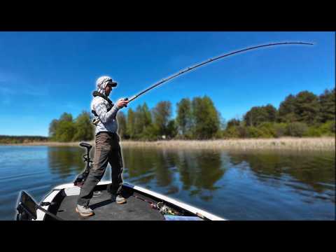 May pike fishing with jerkbaits from shallow water - opening of the 2025 season