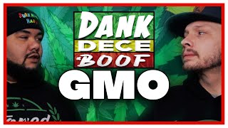 GMO Strain Review - Is it Dank, Dece, or Boof?