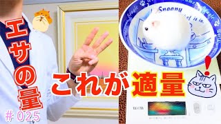 ハムスターの正しい餌の量‼️３つのサイトを比較してみる！！ハムスター飼育日誌♪