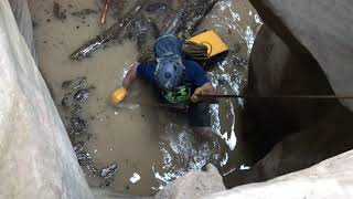 IMG 1236 IMG 1236