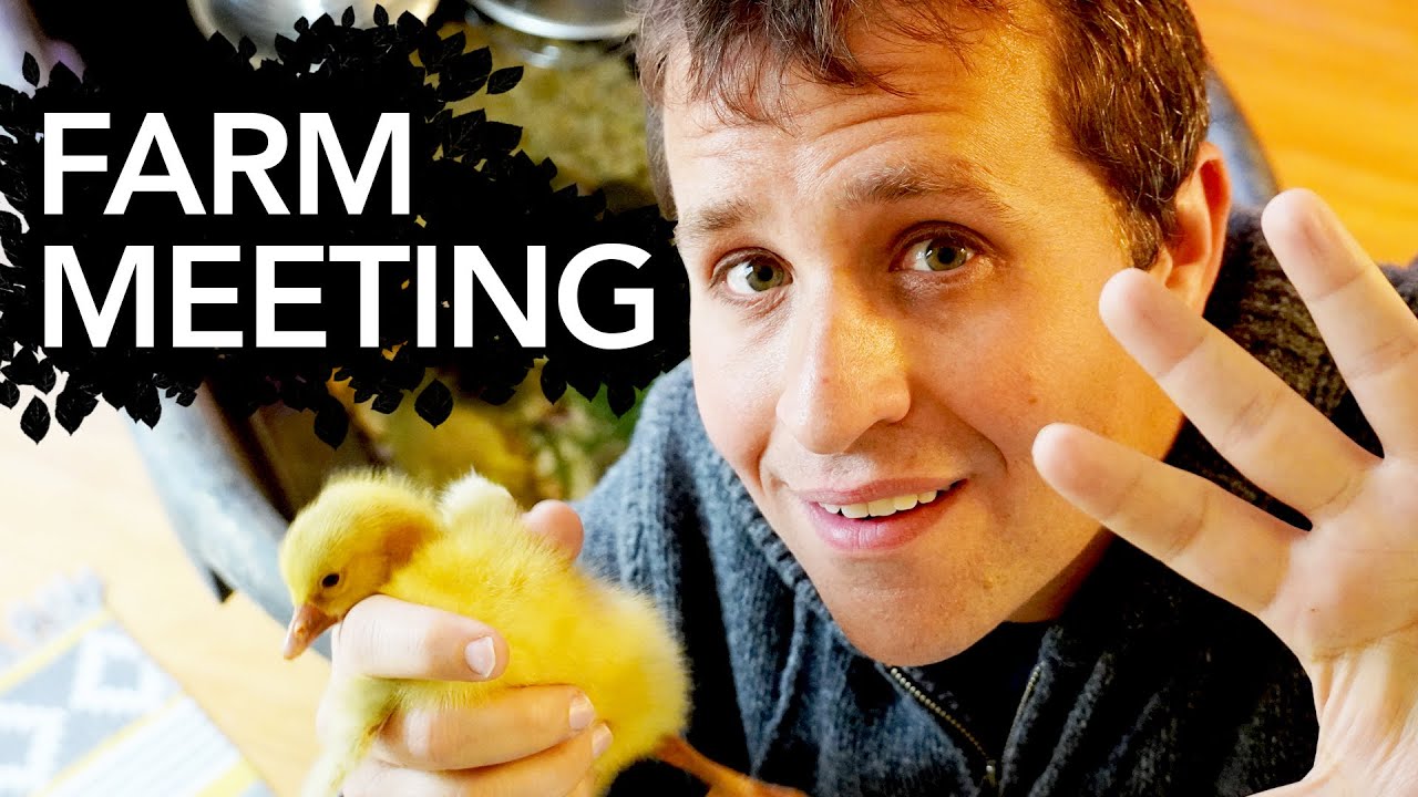 Farm Meeting: Hatching goslings and filling ponds