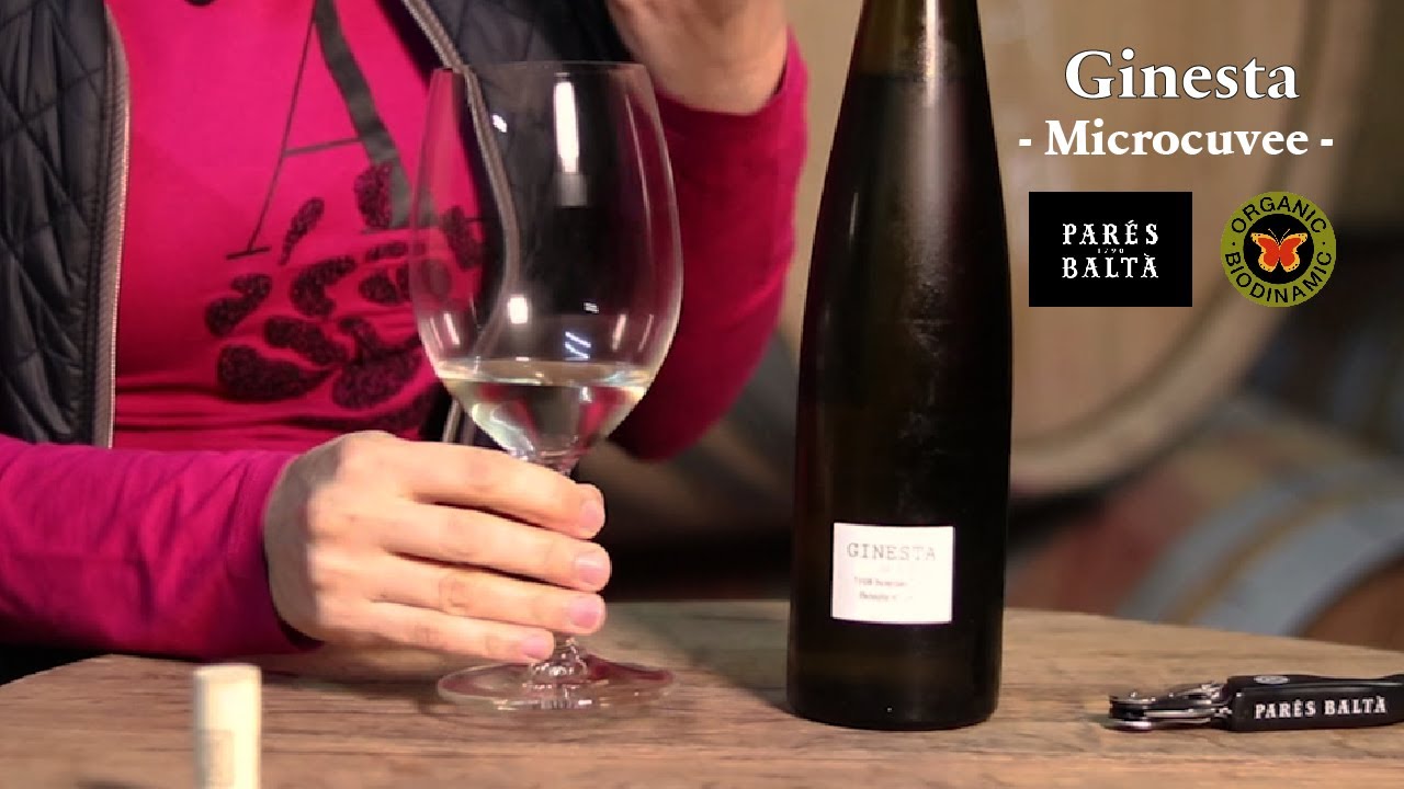 Ginesta 