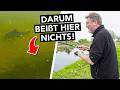 Erst Flaute, dann das 😬 Überraschung beim Friedfischangeln am Fluss 🎣