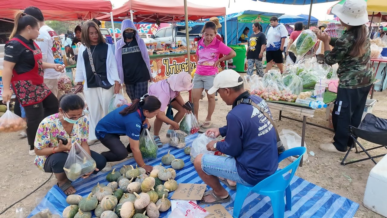 เก็บผักขายตลาดคลองถมอากาศร้อนมากๆรอบนี้มีสลัดคอสมะเขือเทศต้นหอมฟักทองลูกค้าติดใจชื้อดีคือเก่า