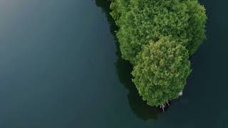 Celebrity Looking Beyond the Surface Net Worth