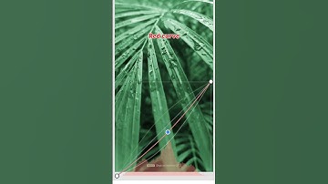 moody green tone tutorial #editting #moodygreen #snapseed