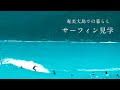 奄美大島vlog_サーフィン見学