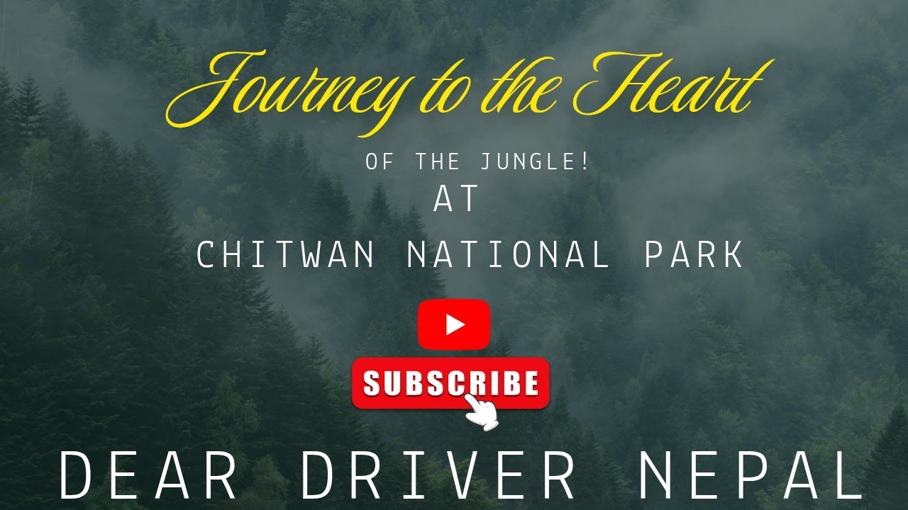 Jungle Safari at National Park (Chitwan Day - 5) ! exploring National park On Duty #travelvlog 