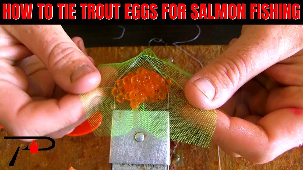 How To Tie Trout Eggs For Salmon 