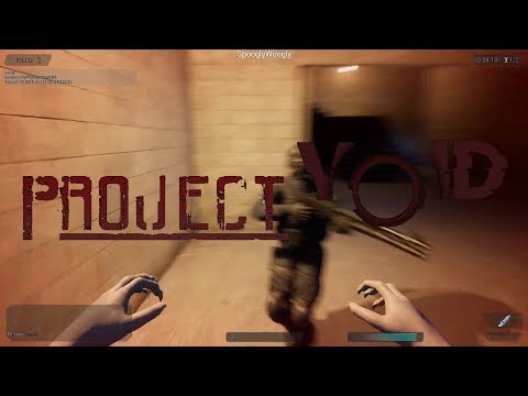 Project Void - Playing with the devs