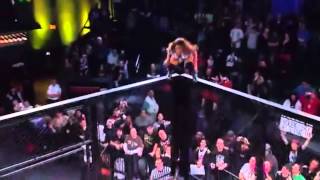 WWE Divas E TNA Knockouts Mortal Kombat screenshot 4