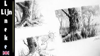 Easy TREE for beginners charcoal drawing