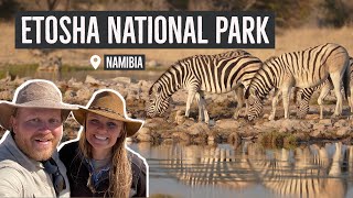 Wildlife Wonderland: 6 Epic Days in Etosha National Park