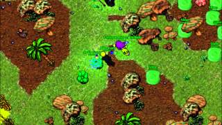 solera level 155 killed tibia