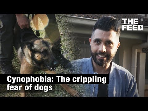 Cynophobia: The crippling fear of dogs