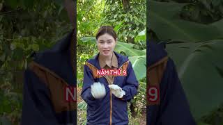 Cc Bc No Th Ny Khng  phvietnam emgaiphan phanbon huuco visinh