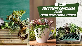 36 {Free} Succulent Container Ideas and Projects from Household Things