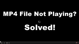 Can’t Play MP4 on Windows? Why & How to Fix