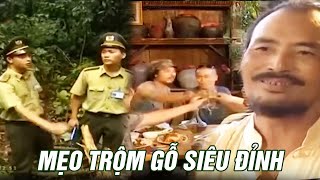 Kiểm lâm TỨC GIẬN trước chiêu trò ẢO MA lấy gỗ của bọn lâm tặc | Gió đại ngàn | Kho Phim VTV